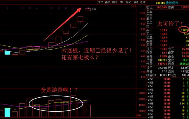 理性与娱乐交织