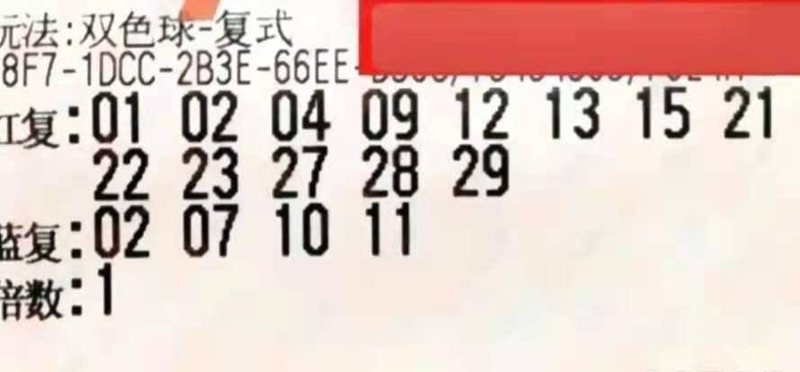 2019年双色球第83期开奖揭晓，幸运数字照亮梦想之路,双色球20200827期开奖结果