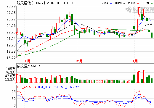 专业版预测与解析