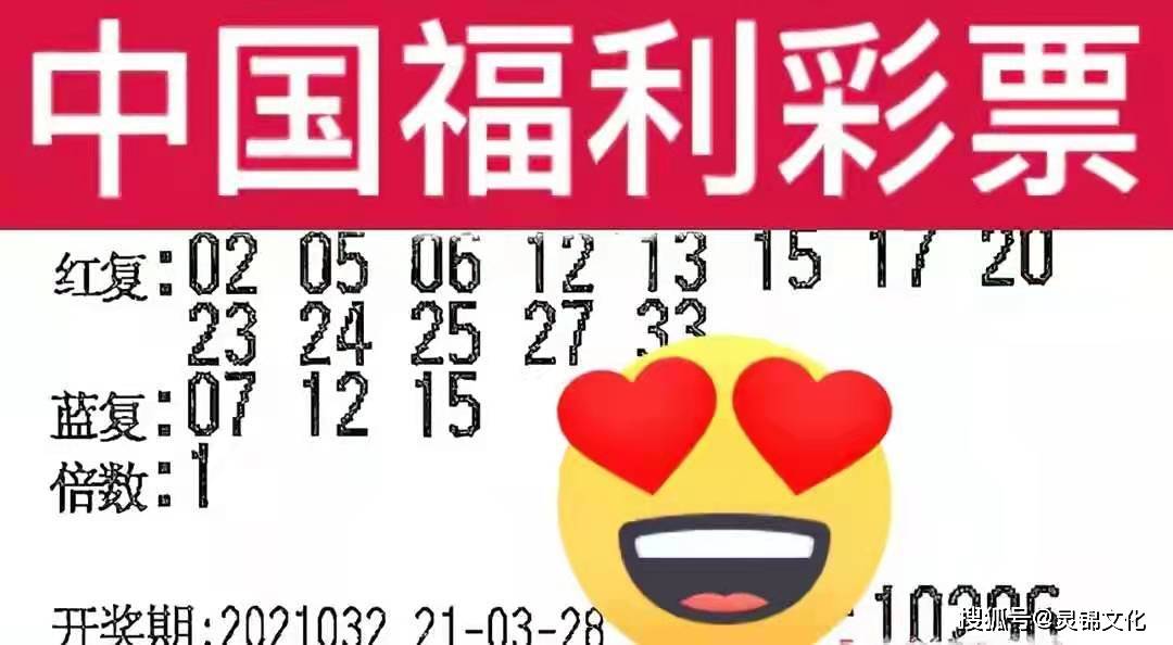 2048年双色球第19期开奖揭晓，梦想与幸运的碰撞,双色球2024009期开奖号码结果