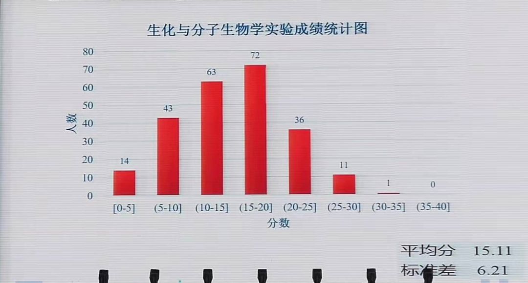 四川12选5，揭秘开奖结果背后的牛现象,四川12选5开奖结果一定牛