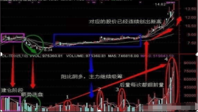 探索T乐彩走势图，数字背后的奥秘与策略,t乐彩走势图