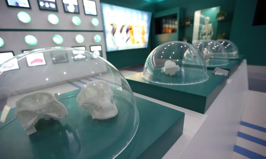 3D打印，重塑医疗领域的未来,3d打印在医疗领域的应用