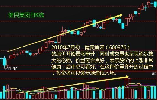 探索中福彩3D走势图，数字背后的奥秘与策略,中福彩3d走势图