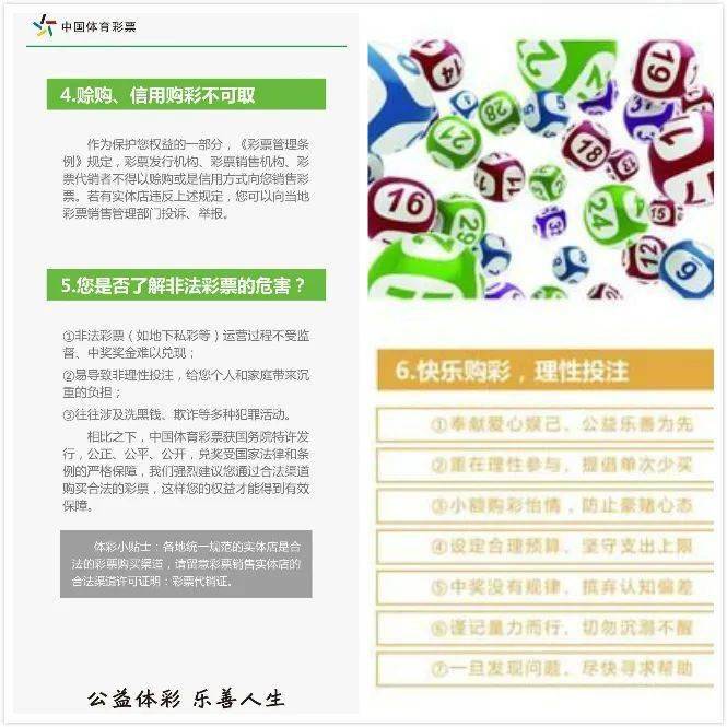 今晚澳门开奖特马几号，揭秘彩票背后的故事与理性思考的平衡点,今晚澳门开奖特马几号