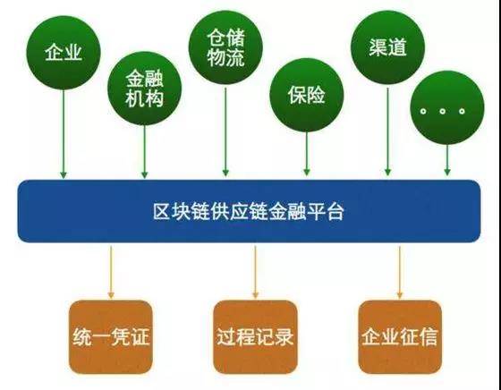 探索P38，从分子机制到临床应用的深度剖析,p38