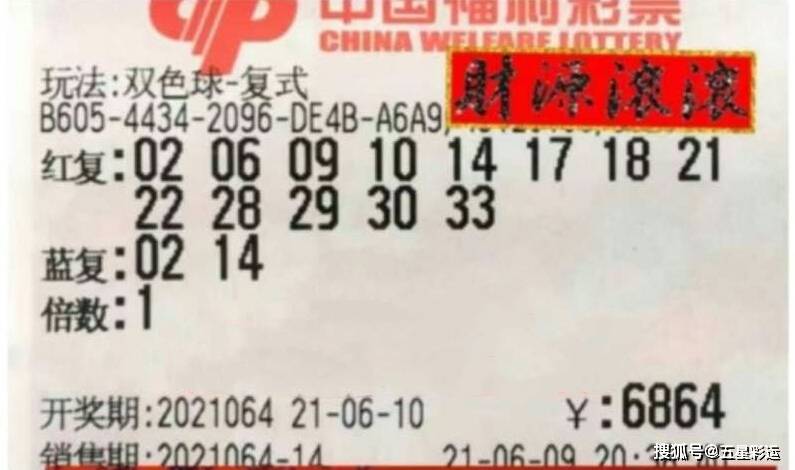 2013期双色球开奖结果揭晓，幸运的数字与梦想成真,双色球2022013期开奖查询