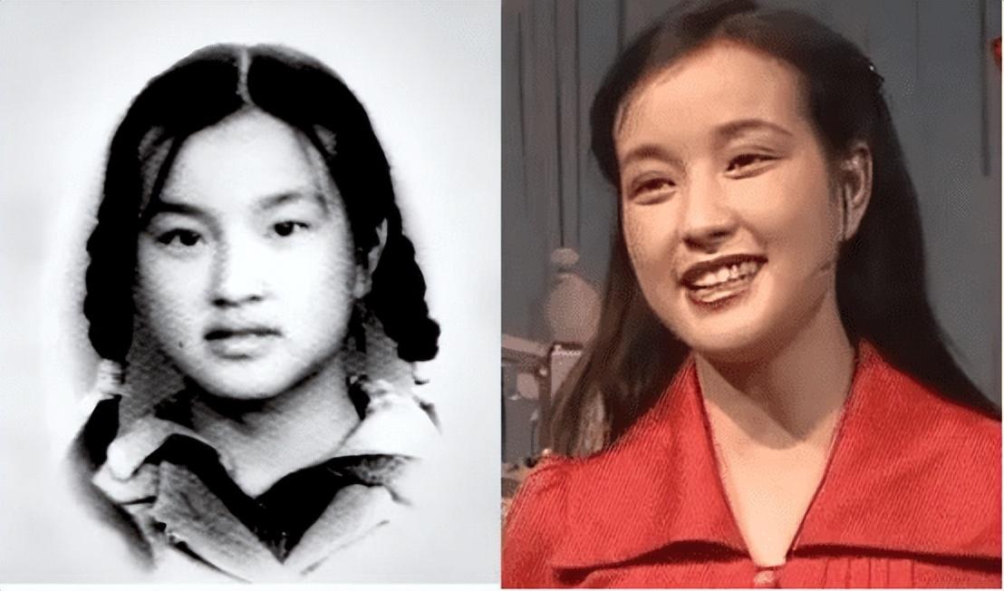 2019年双色球第68期至73期的精彩回顾与开奖结果分析,2019年双色球69期开奖结果