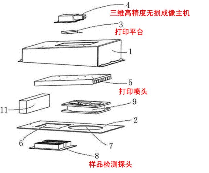 2 理性与幸运