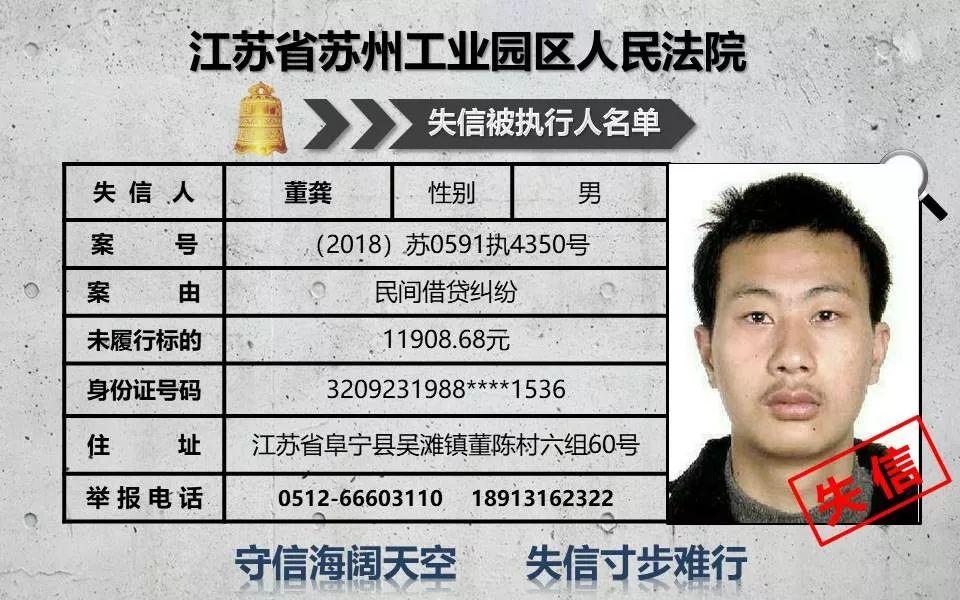 诚信之盾，揭秘中国执行失信信息公开网的力量,中国执行失信信息公开网查询