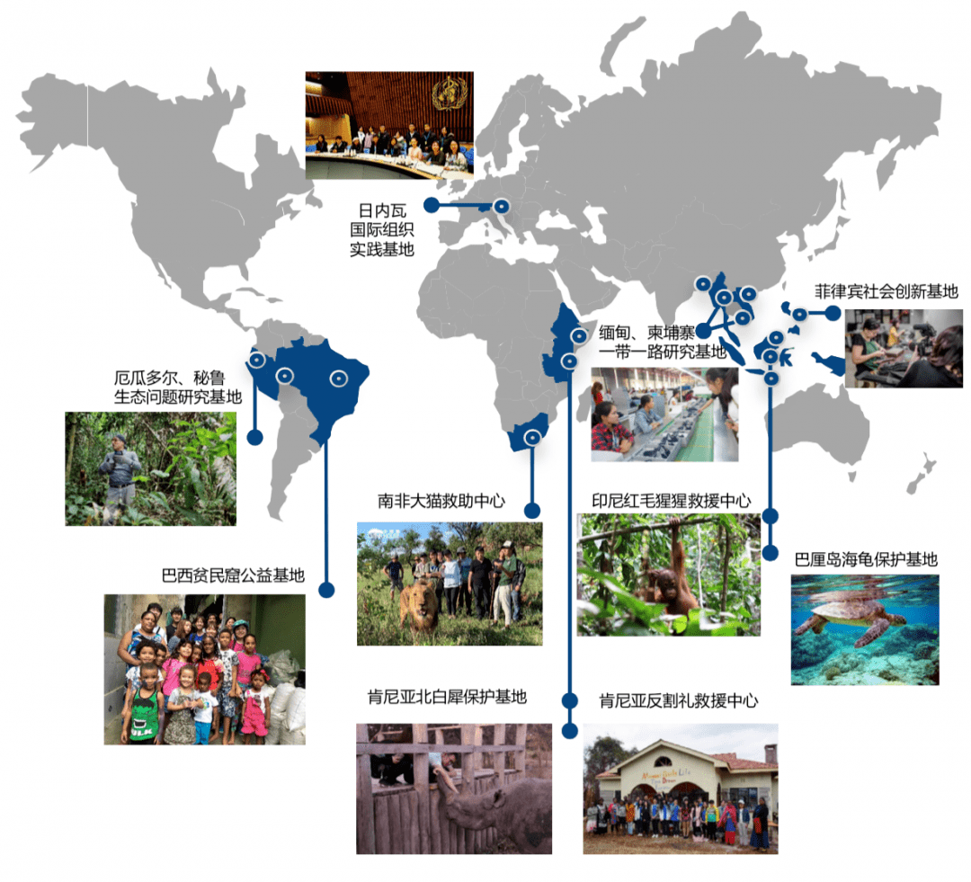 福彩3D地图，实景探索与公益梦想的融合之旅,福彩3d地图实景地图
