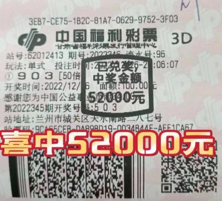 揭秘中国福利彩票第47期中奖号码的背后故事与影响,中国福利彩票47期中奖号码