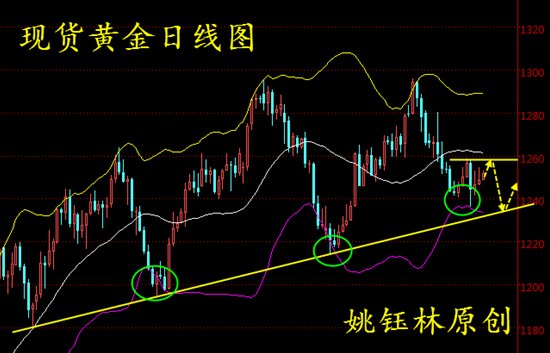 3D带连线走势图专业版