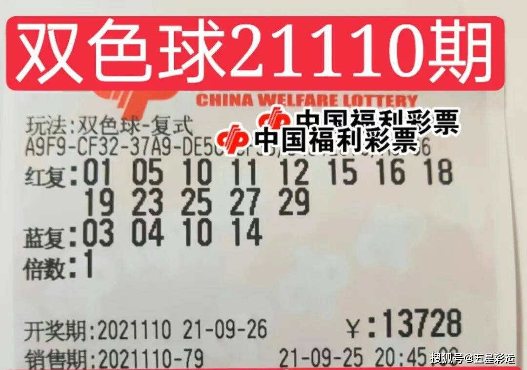 20413期双色球开奖结果，梦想与幸运的碰撞,2024132期双色球开奖结果o