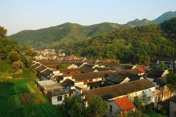 20选5开奖结果查询，浙江彩民的幸运之旅,20选5开奖结果查询浙江