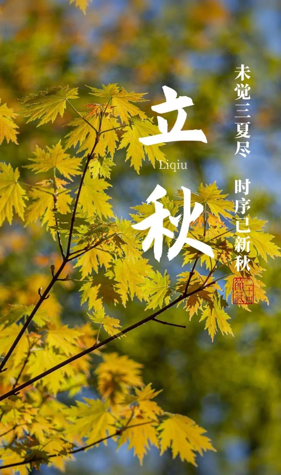 安徽快乐8中奖明细，揭秘幸运背后的数字游戏,安徽快乐8中奖明细