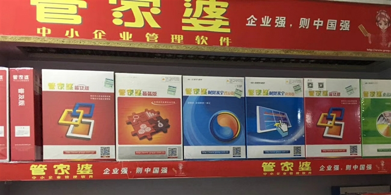 管家婆标准版，中小企业管理的智慧之选,管家婆标准版