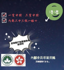 澳门王中王的神秘面纱，揭秘10%的资料三中的奥秘,澳门王中王100%的资料三中三