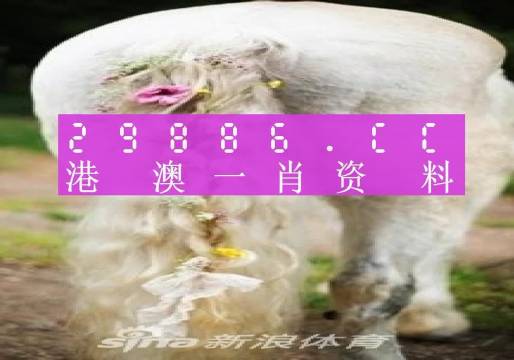 2036年澳门彩经