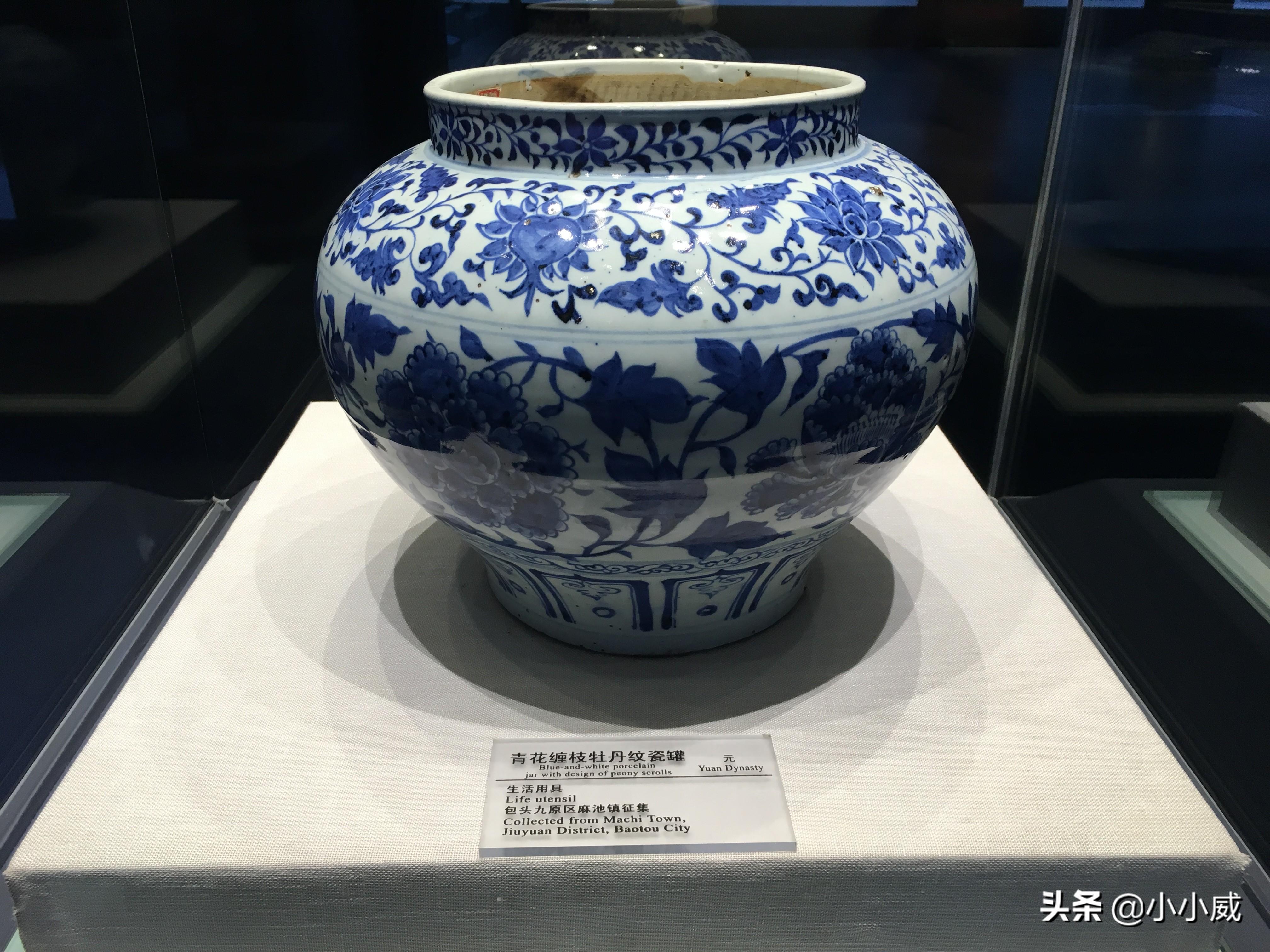 历史与未来展望