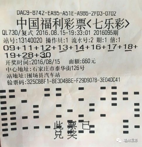 2043澳门天天开好彩大全，揭秘彩票背后的数字游戏与智慧,2024澳门天天开好彩大全