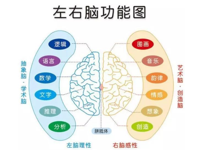 澳门三肖精准预测，揭秘背后的科学逻辑与理性分析,澳门三肖三码精准100%精准