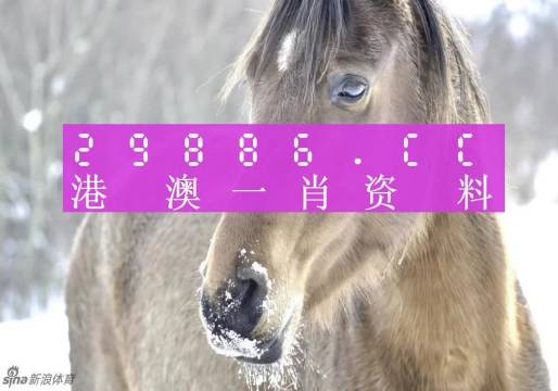 澳门一肖不中，但生活仍需精彩,澳门一肖一码必中一肖一