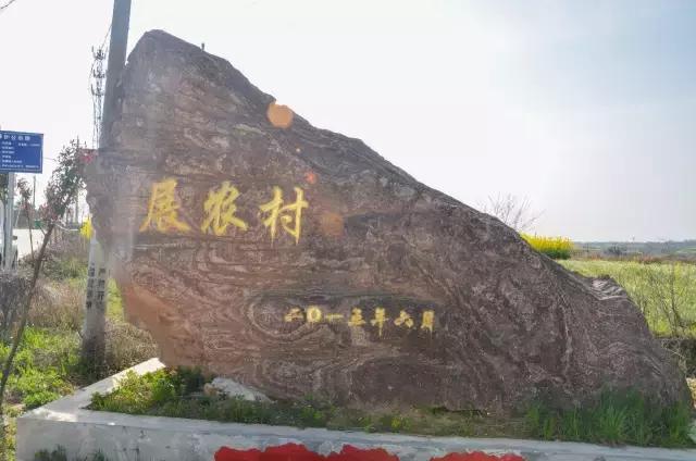 2018年刘伯温全年资料回顾与解析,2018年刘伯温全年资料