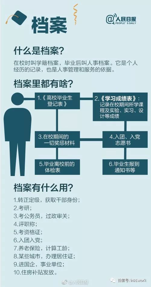澳门二四六天天资料大全2031，全面解析与实用指南,澳门二四六天天资料大全2023