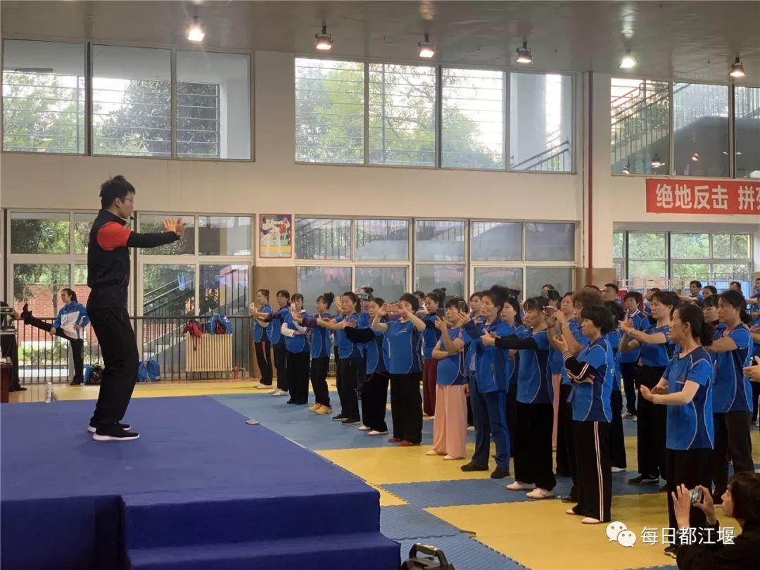 2019年正版马会资料大全，全面解析与使用指南,2019正版马会资料大全