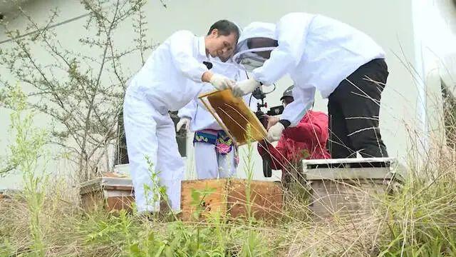 彩天堂，梦幻般的色彩与无限可能的探索,彩天堂