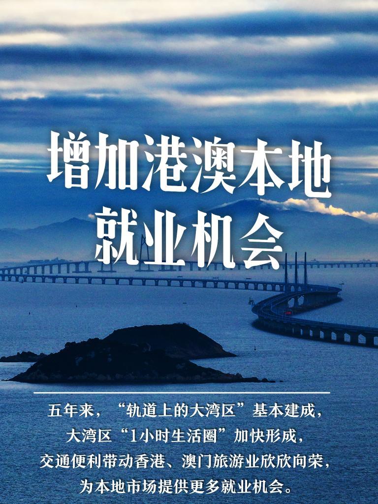 澳门宝典资料2031，揭秘未来之城的独特魅力与机遇,澳门宝典资料2022年