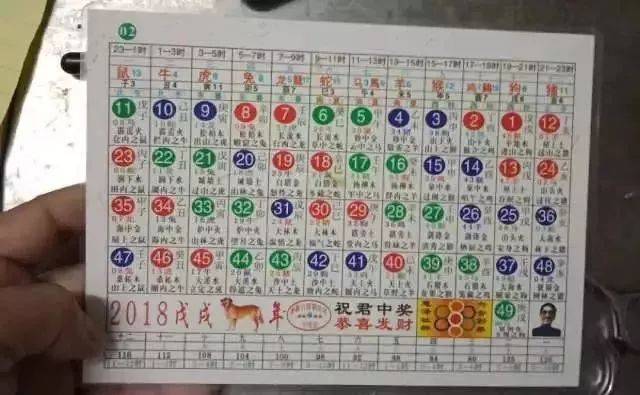 6合开奖记录，揭秘彩票背后的数字游戏,6合开奖记录