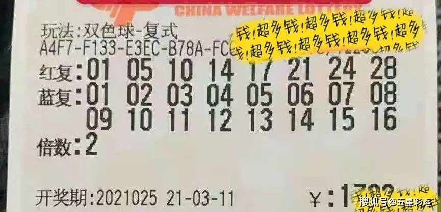2035年香港今晚特马揭秘，理性看待彩票与娱乐的平衡,2023年香港今晚特马开什么